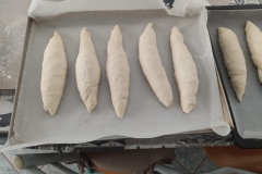 391769154_343182618220973_387960860495251977_n