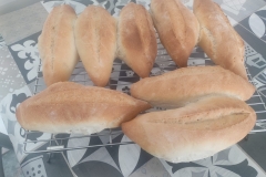 397557142_343182498220985_9139293737974333043_n