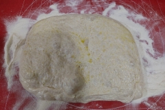 wp-1635057089252-scaled